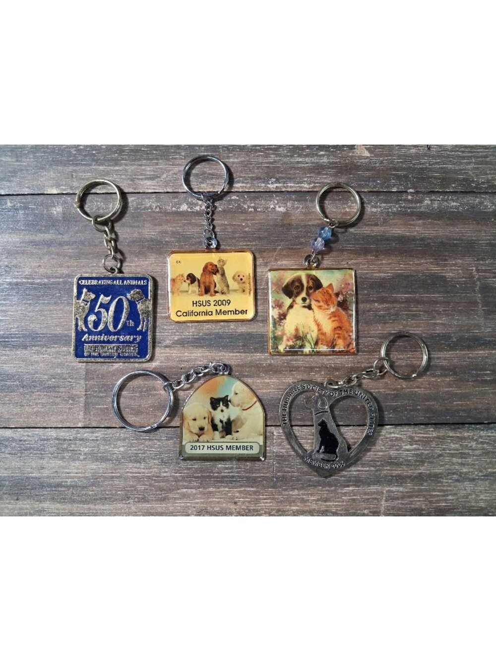 Human Society Keychain Lot United States Animal Welfare Support Bag Tag Charm